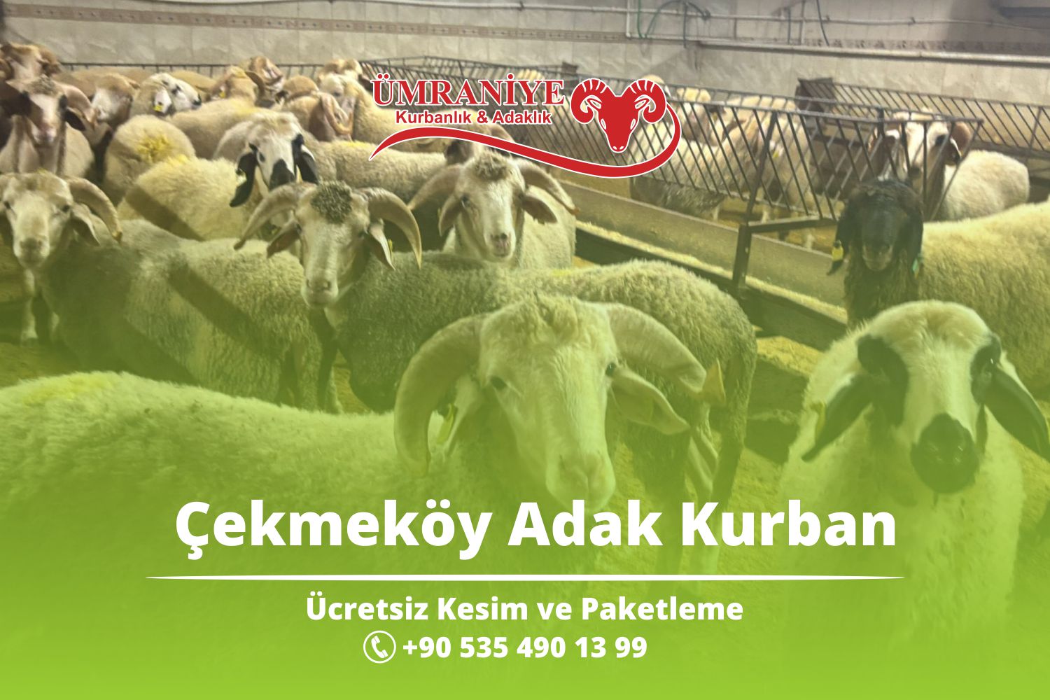 Çekmeköy Adak Kurban – Vekâletle Kurban Kesim Merkezi