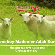 Çekmeköy Madenler Adak Kurban