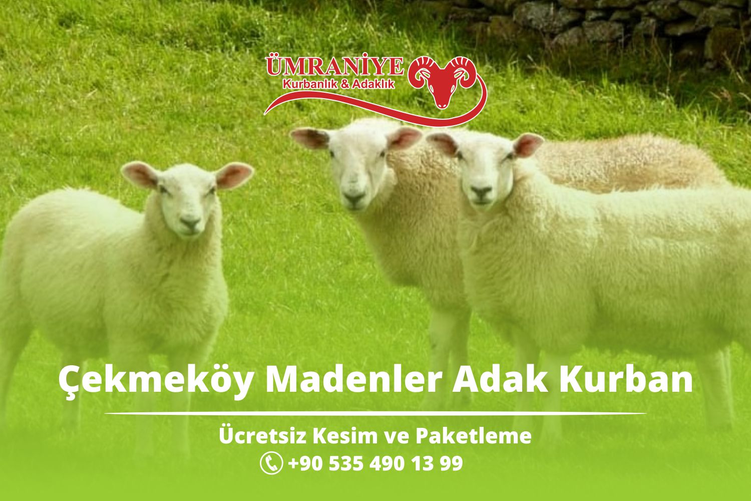 Çekmeköy Madenler Adak Kurban