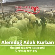 Alemdağ, Taşdelen ve Çekmeköy’e En Yakın Adres