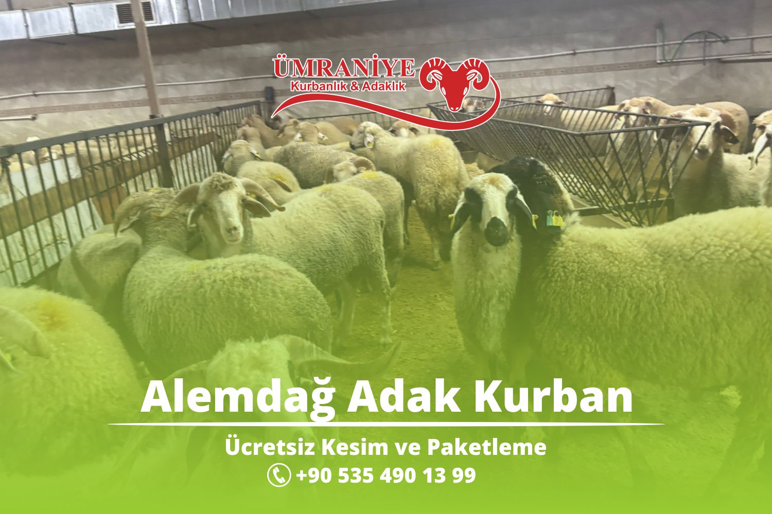 Alemdağ, Taşdelen ve Çekmeköy’e En Yakın Adres