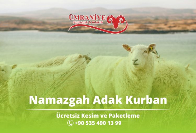 Namazgah Adak Kurban ve Sarıgazi Bölgesinin Güven Adresi