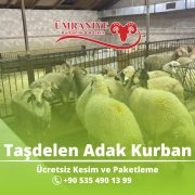 Taşdelen, Çekmeköy ve Ümraniye Adak Kurban Hizmetleri