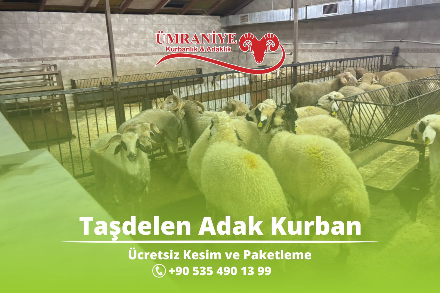 Taşdelen, Çekmeköy ve Ümraniye Adak Kurban Hizmetleri